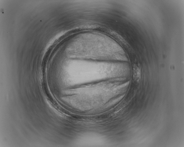 X0000076240726200610191623