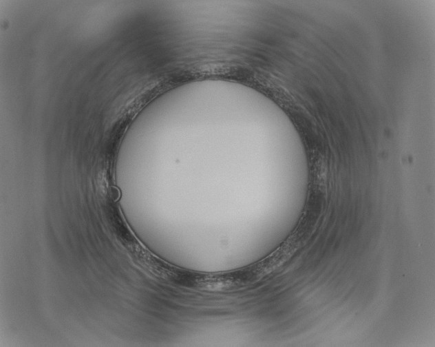 X0000076240746200610191623