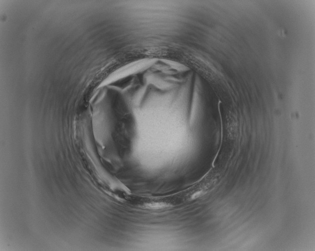X0000076240748200610191623