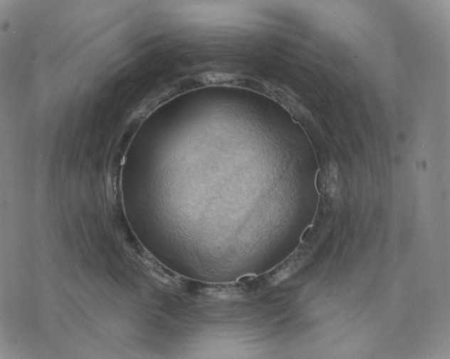 X0000076240763200610191623