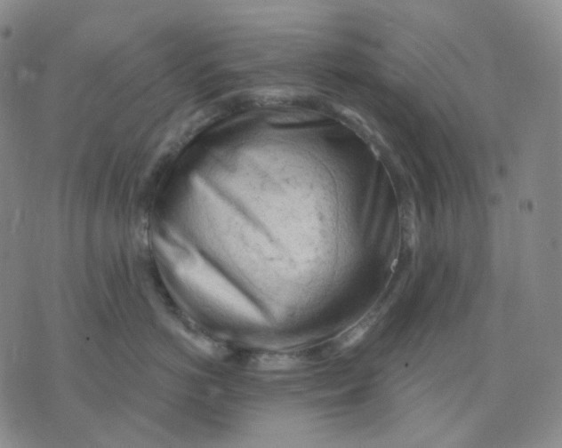 X0000076240766200610191623
