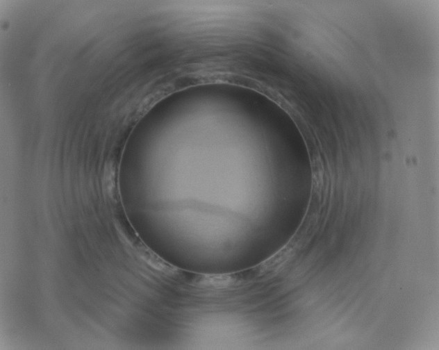 X0000076240767200610191623