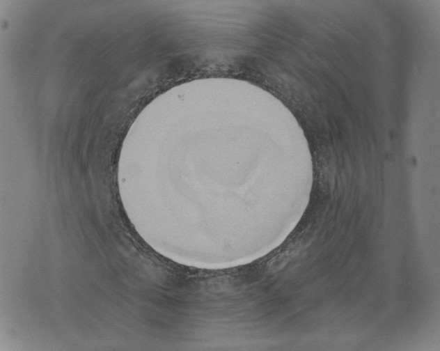 X0000076240769200610191622