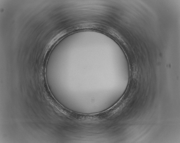 X0000076240786200610191622