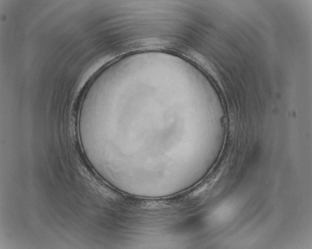 X0000076240835200610191621