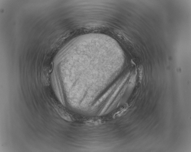 X0000076240868200610191621
