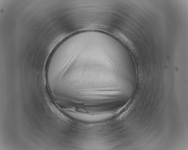 X0000076240892200610191620