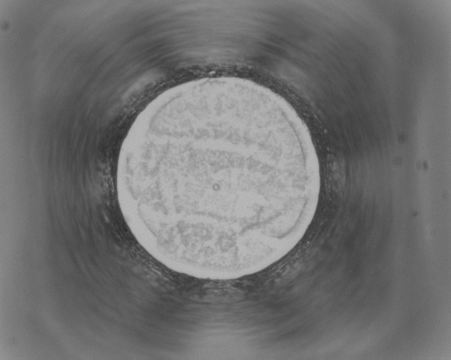 X0000076240918200610191619