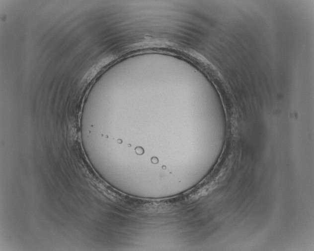X0000076240929200610191619