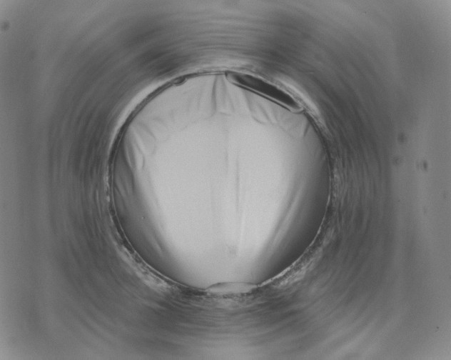 X0000076240948200610191620