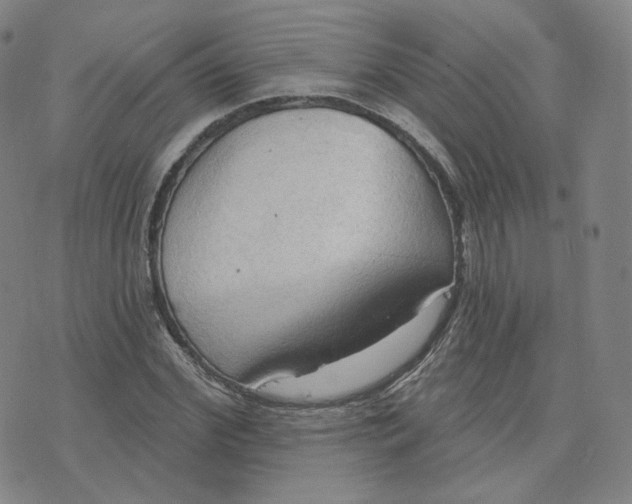X0000076240972200610191619