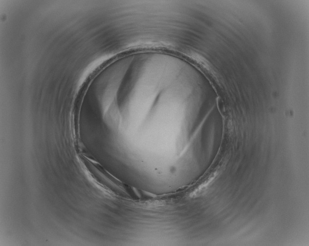 X0000076241030200610191618