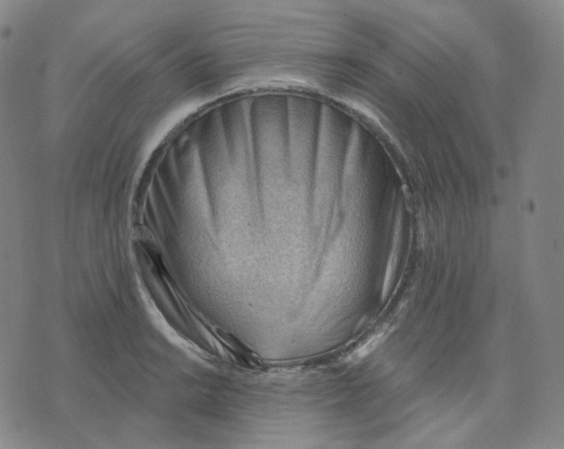 X0000076241038200610191618
