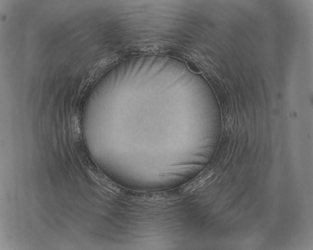 X0000076241106200610191616