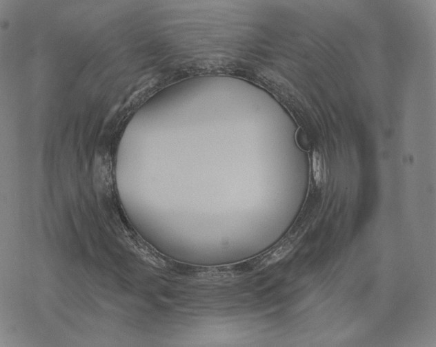 X0000076241107200610191616