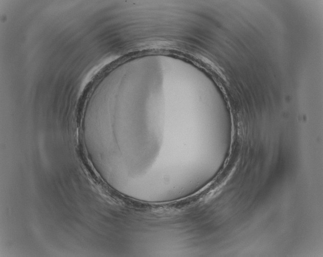 X0000076241117200610191616