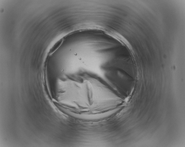 X0000076241144200610191617