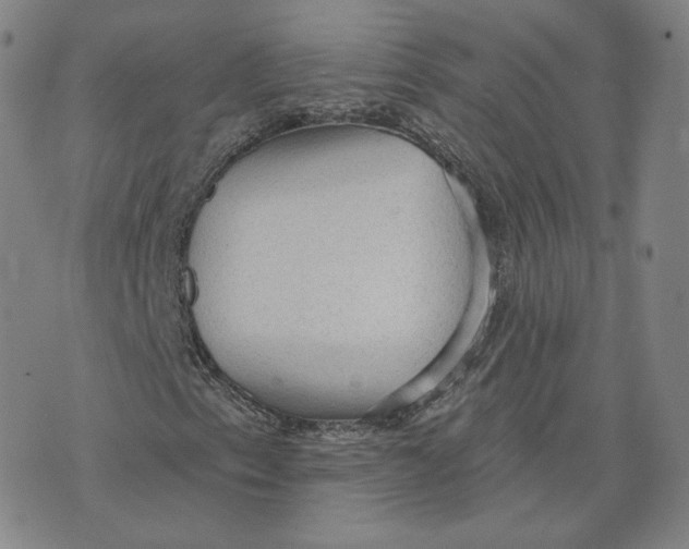X0000076241153200610191616