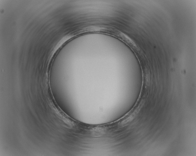 X0000076241178200610191616