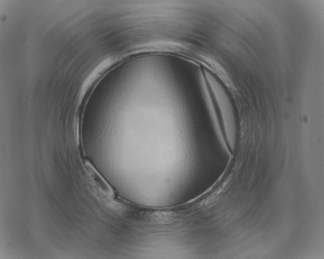 X0000076241180200610191616