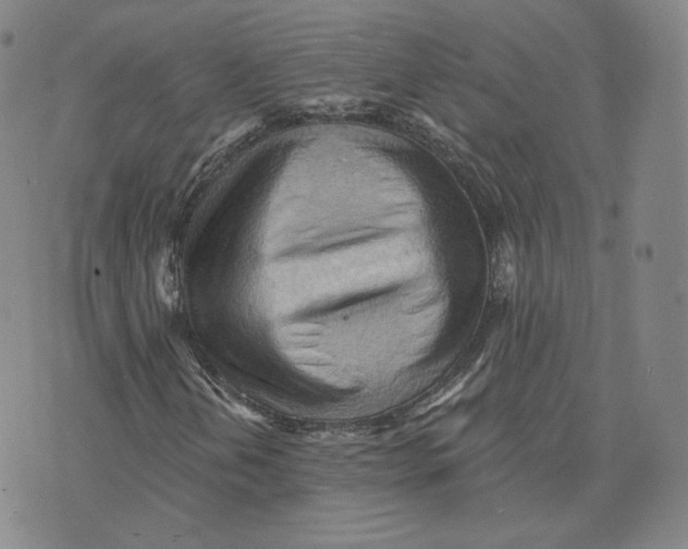 X0000076241202200610191614
