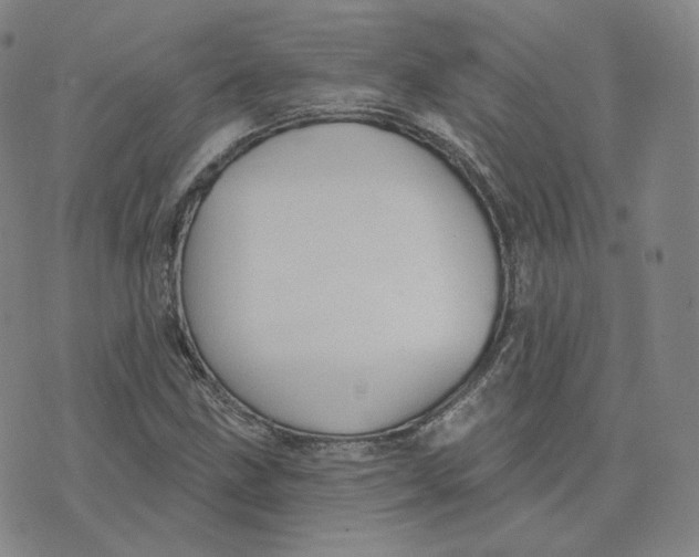X0000076241211200610191615