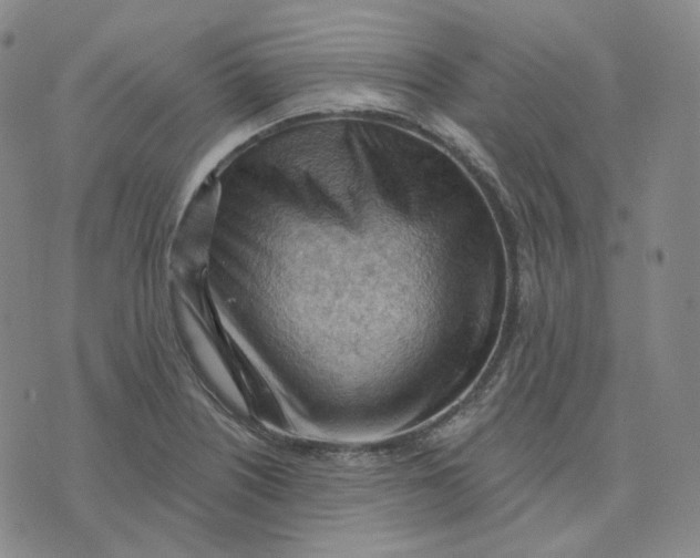 X0000076241226200610191615
