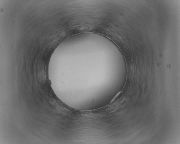 X0000076241250200610191614