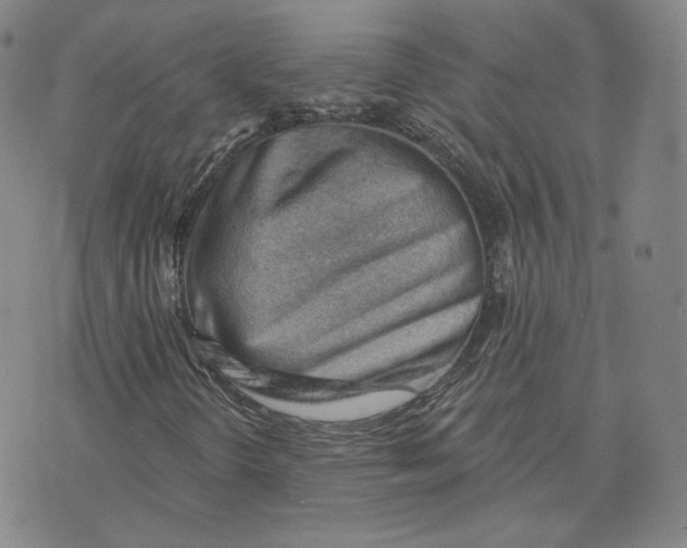 X0000076241298200610191613