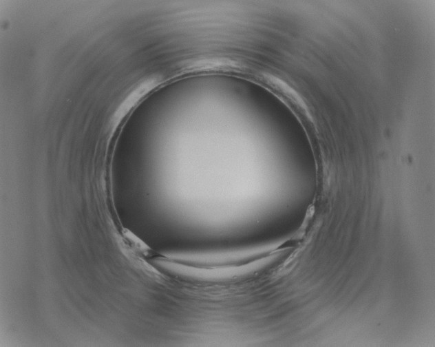 X0000076241330200610191613