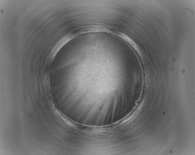 X0000076241385200610191612