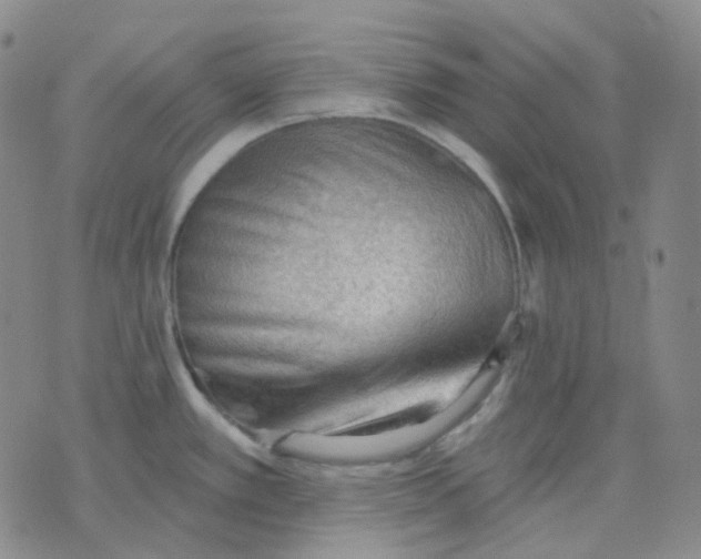 X0000076241389200610191612