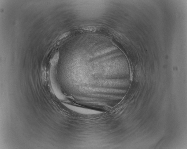X0000076241394200610191611
