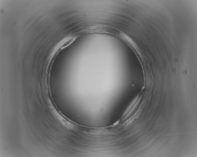 X0000076241434200610191612