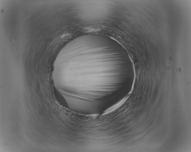 X0000076241441200610191611