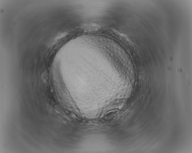 X0000076241445200610191611
