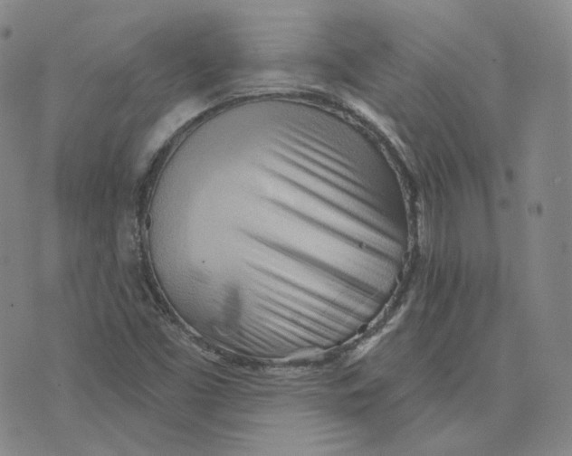 X0000076241453200610191611