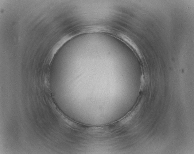 X0000076241481200610191611