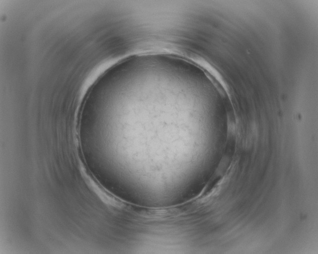 X0000076241485200610191611