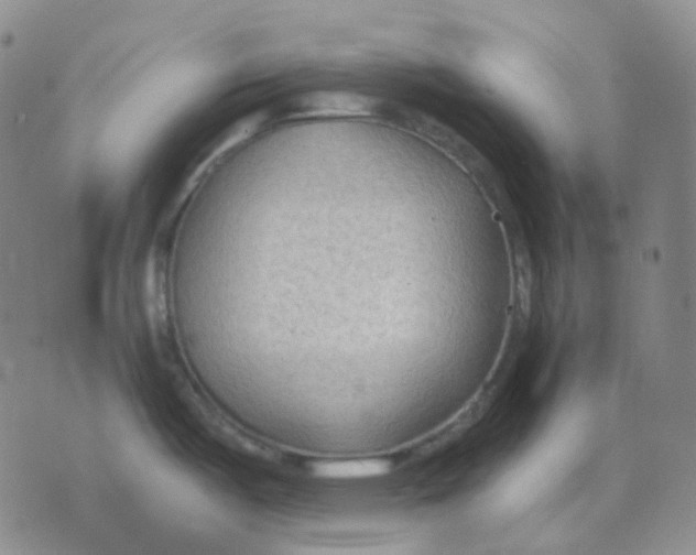 X0000076241487200610191611