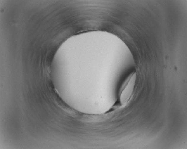 X0000076240045200610261926
