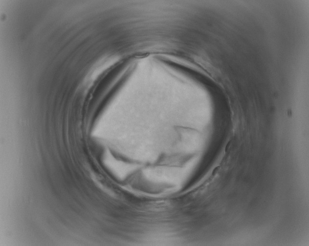 X0000076240050200610261925