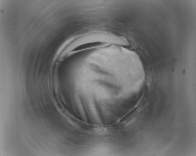 X0000076240052200610261925