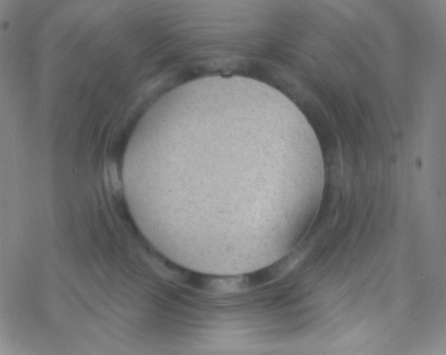 X0000076240089200610261926