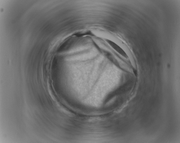X0000076240097200610261925