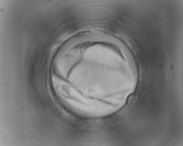 X0000076240145200610261924