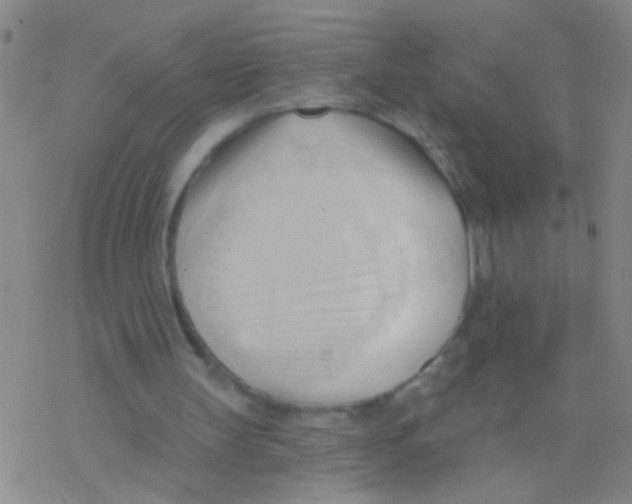 X0000076240147200610261924