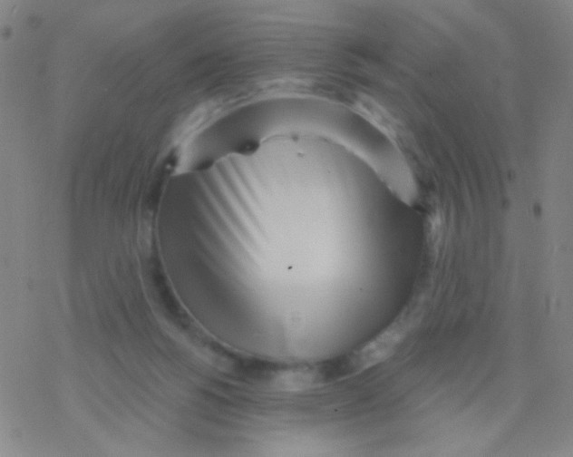 X0000076240168200610261924
