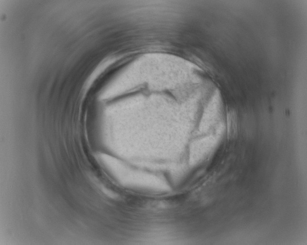 X0000076240195200610261924