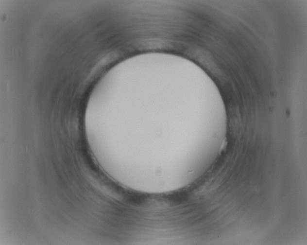 X0000076240207200610261923